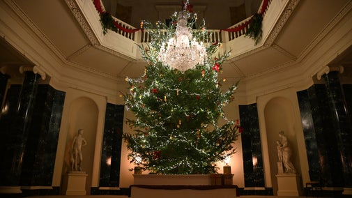 Christmas Tree in Central Hall, Mount Stewart